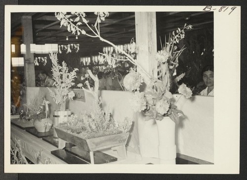 Trayscape and flower display at the Amache Agricultural Fair held September 11 and 12. Photographer: McClelland, Joe Amache, Colorado