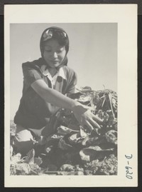 Momayo Yamamoto, formerly a farm worker in Fresno County, California. At present, he [i.e., she] is a farm worker. Momayo Yamamoto in the spinach harvesting field at this relocation center. Photographer: Stewart, Francis Rivers, Arizona