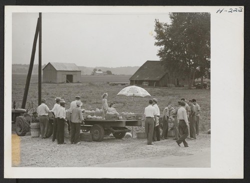 The Missouri River bottom lands produce choice cantaloupes. Some producers, such as the Hellwig Brothers, ship the melons in their own trucks. Other farmers prefer to sell direct to the consumer from roadside stands, as shown here. Photographer: Mace, Charles E. Chesterfield, Missouri