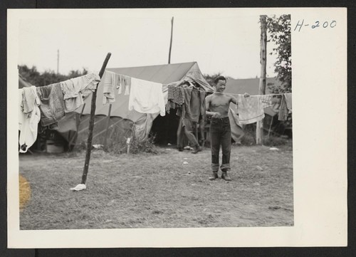 Every day is wash day for the 20 lads recruited from the Rohwer Relocation Center to help harvest peaches at the Eckert Orchards near Bellville, Illinois. The boys live in tents provided by their employer and they do their own housekeeping. Photographer: Mace, Charles E. Bellville, Illinois