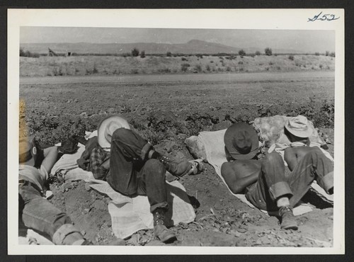 10:30 A.M. Farm workers' siesta. Photographer: Cook, John D. Newell, California