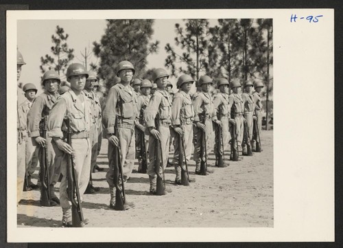 Eyes Right. A company of infantry stand at attention during training on the Camp Shelby drill field. The 442nd combat