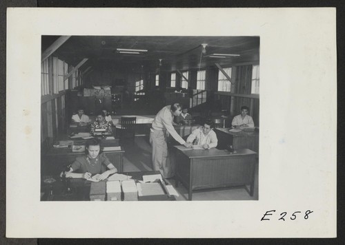 A view showing the Housing Department at this relocation center. (L to R) Virginia Shilby, secretary. John H. Tucker, Housing. Photographer: Parker, Tom Denson, Arkansas