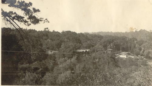 View from Joseph D. Grant Estate, Burlingame