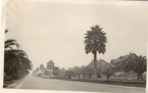 Occidental Boulevard, Los Angeles, Poor Parking, Planting