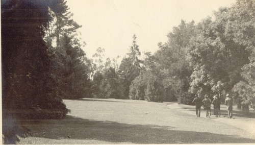 Shadows on Lawn, Jennie Crocker Whitman Estate, Burlingame