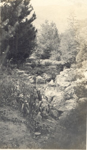 Brook on the William A. Spinks, Jr. Estate, Monrovia