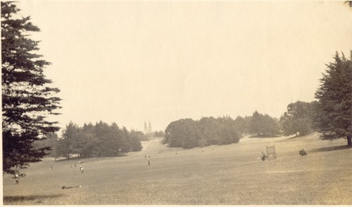 Baseball Field, Golden Gate Park (room for five or six diamonds)