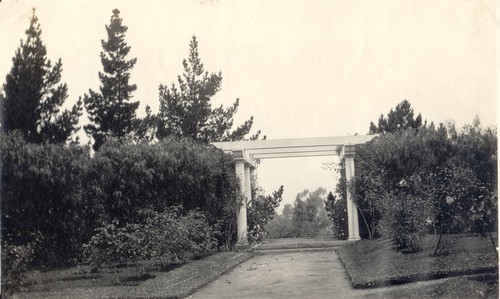 Well situated and planted, Bowman H. McCalla Estate, Santa Barbara