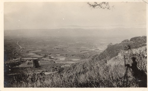 Hills above Saratoga, California