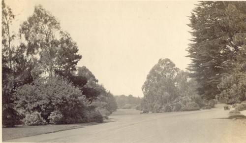 Vista, Street intersection, Golden Gate Park