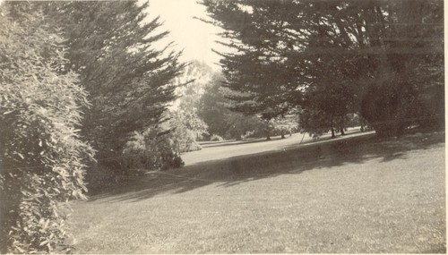 Vista, Jennie Crocker Whitman Estate, Burlingame