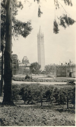 Campanile, University of California