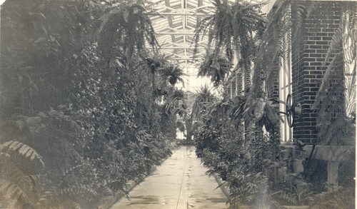 Interior of green house, Eastlake Park, Los Angeles