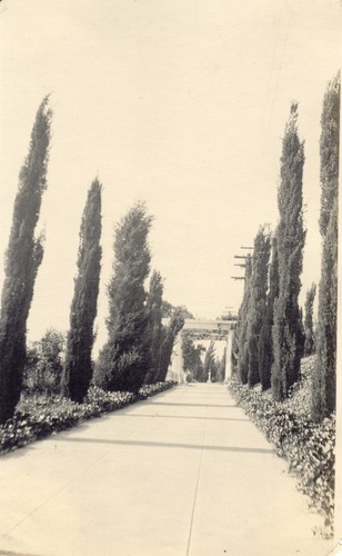 Alexander Estate, Los Angeles