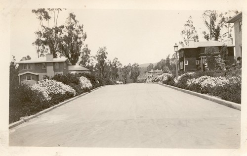 Street Planting, St. Francis Wood, San Francisco