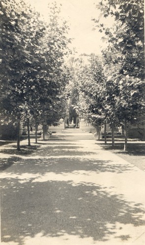 Looking toward rose garden, George A. Newhall Estate, Burlingame