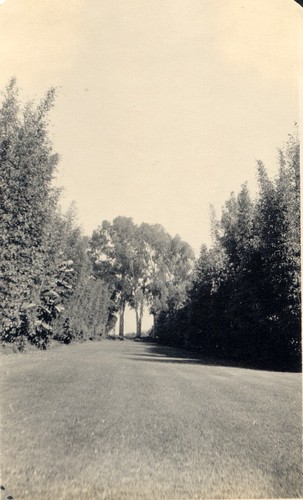 Mall on Francis T. Underhill Estate, Santa Barbara