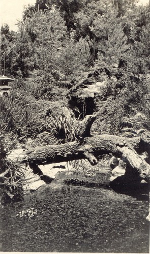 Huntington Japanese Garden, Pasadena