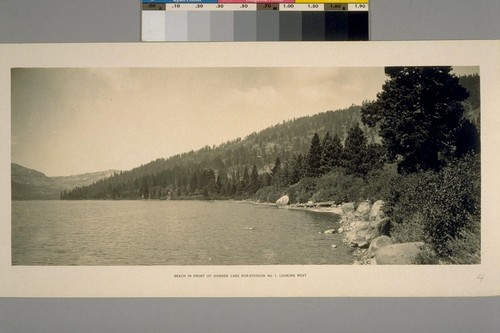 Beach in front of Donner Lake Sub-division No.1 Looking West