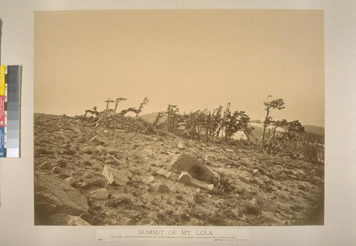 Summit of Mt. Lola, 9280 ft. high. Middle left is Heliotropers' Stone Hut; middle background is the North Summit. Picture shows the effect of wind on the trees