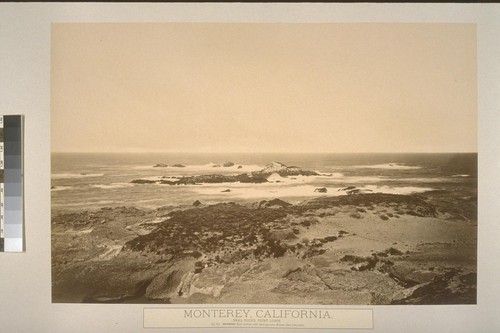 Monterey, California. Seal Rocks, at Point Lobos