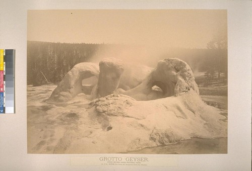 Grotto Geyser, Upper Geyser Basin, National Park