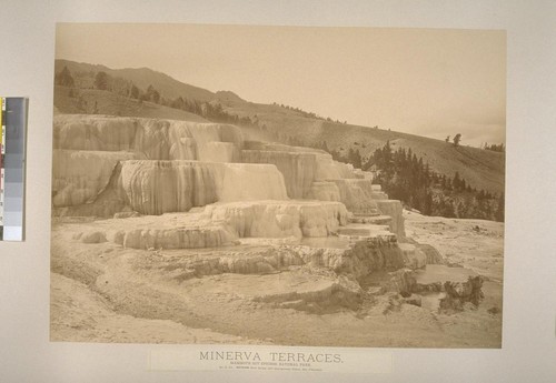 Minerva Terraces, Mammoth Hot Springs, National Park