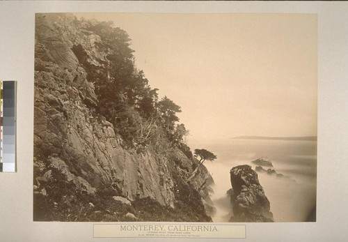 Monterey, California. Cypress Point, at Point Lobos