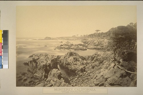 Monterey, California. Cypress Point, Looking North from 18 Mile Drive