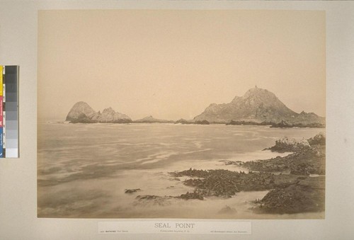 Seal Point, Farallone Islands, P. O