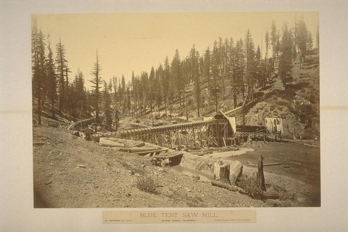 Blue Tent Saw Mill, Nevada County California