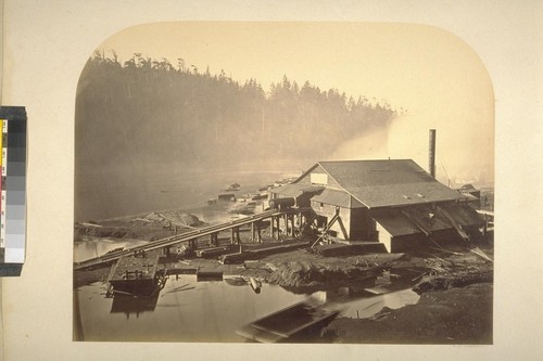 Lumber Mill on Big River