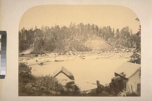 Mill and ferry, Big River