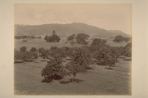 Looking Northwest from Top of Depot at El Verano, Showing Land of Sonoma Valley Company, and Sonoma Mountain Beyond