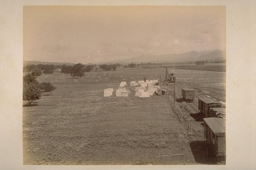 Looking Northwest from Top of Depot at El Verano, Showing Hotel Knoll, with Oak Trees and Railroad Construction Camp