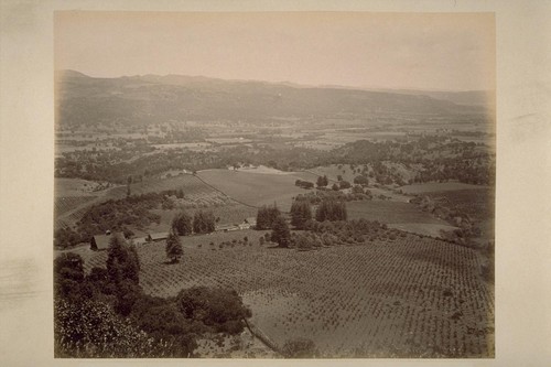 "Sobre Vista", Panorama from Eastern Slope of Sonoma Mountain, looking Southeast across Sonoma Valley, showing Redwoods, Vineyard, and Olive, Chestnut and Walnut Orchard of Col. Geo. F. Hooper (No.2)