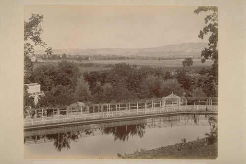 The Reservoir, Showing Grove of Magnolia, Orange, Lemon, Olive and Fig Trees