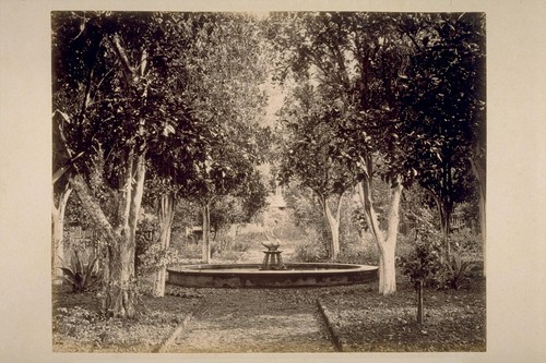 Fountain in Olive Grove, Lachryma Montis