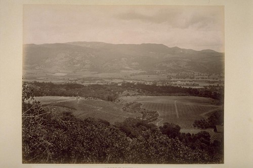 "Sobre Vista", Panorama View of Property of Col. Geo. F. Hooper, looking East from the Slope of Sonoma Mountain, across Sonoma Valley (No.1)