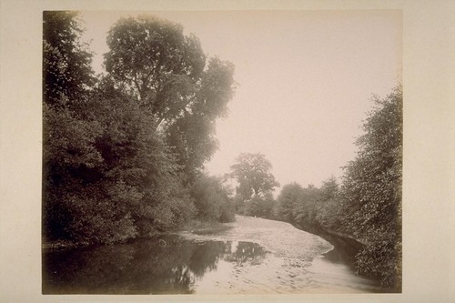 A View on Sonoma Creek, Adjoining El Verano