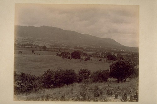 View Across Sonoma Valley, Looking Northwest, two miles North of El Verano