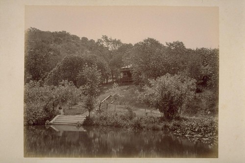 Lake in Grounds at Buena Vista, Residence of Mrs. Robert Johnson, Sonoma Valley