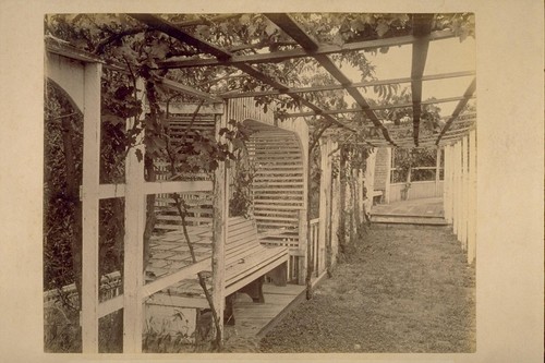 Grape Arbor, Lachryma Montis