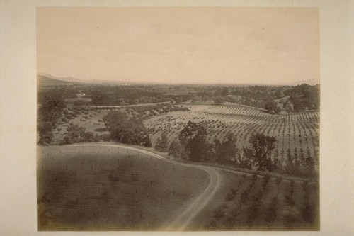 "Sobre Vista", View across Sonoma Valley, Looking South