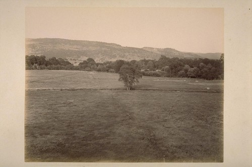 Looking East from Top of Depot at El Verano, Showing Bank of Sonoma Creek