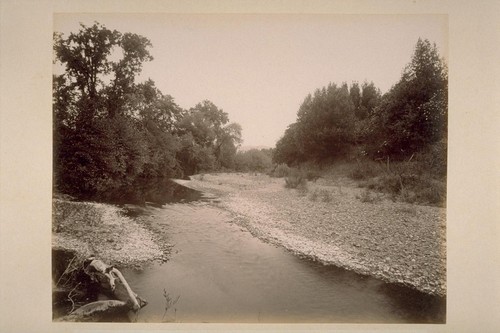 A View on Sonoma Creek, Adjoining El Verano