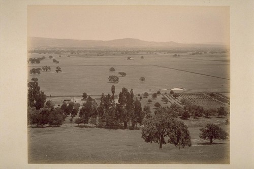 Panorama View from Hill on Caleb Carriger Place, Looking East across Sonoma Valley (No.3)