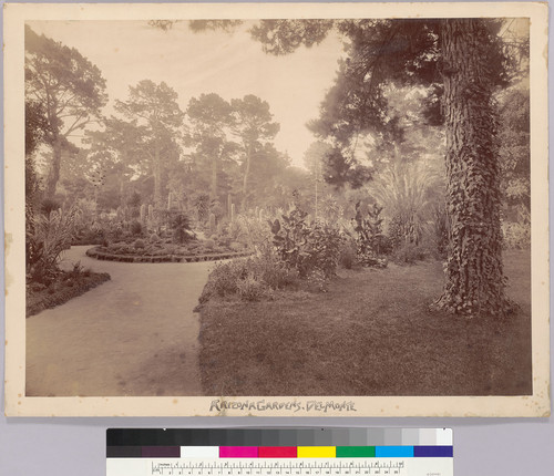 Arizona Gardens, Del Monte [Hotel Del Monte, Monterey]