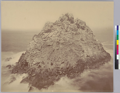 Seal Rocks: Faralons [sic] Islands [Sugar Loaf Islands, Farallons] [Farallon Islands]